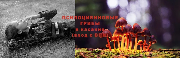 спайс Нефтегорск