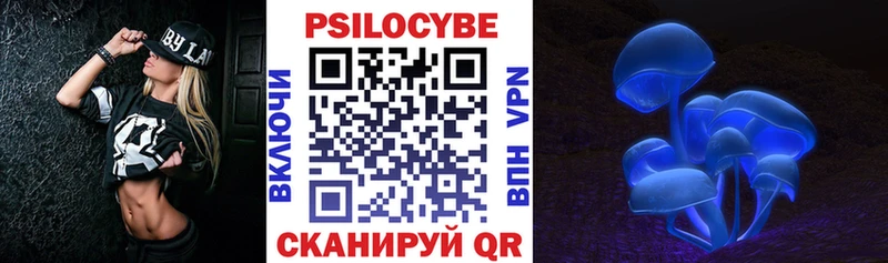 Галлюциногенные грибы Psilocybe  где купить наркоту  Сланцы 